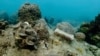 Un banco de peces pasa por un arrecife de coral en las aguas frente a la costa de la provincia sureste de Rayong, Tailandia, el 28 de febrero de 2024.