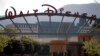 Disney Beli Maker Studios, Operator Saluran YouTube