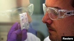 FILE - A researcher checks an Ebola diagnostic test.