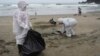 Bird Flu: Scientists Find Mutations, Say Threat Still Low 