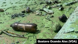En Fotos: Contaminación en el Lago de Maracaibo