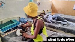 Baboon bites and snatches toddler in West Nicholson