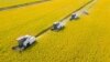 Global Food Prices Decline From Record Highs in 2022, UN Says — Except for Two Staples 