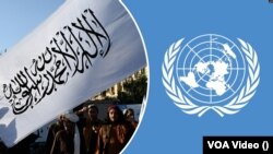 عکس: آرشیف