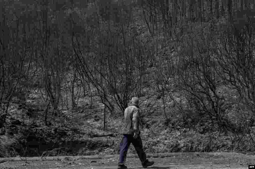 A man walks past a burned area after a fire near Kassiopi, Greece, July 26, 2023. Wildfires have been raging in Greece amid scorching temperatures, forcing mass evacuations in several tourist spots including on the islands of Rhodes and Corfu. 