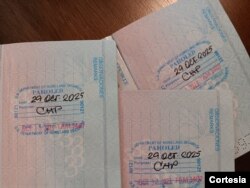 Tres pasaportes cubanos con estampas de Inmigración de parole humanitario, pueden verse en Tampa EEUU, el 21 de diciembre de 2023.