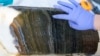 Scientists Want to Mark New Epoch of Human Impact on Earth in Canadian Lake 
