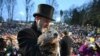 En Pensilvania, la marmota Phil pronostica más invierno para EEUU y nuevamente reúne a miles durante la festividad