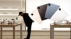 16x9 Image