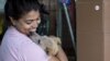 Cristina Rincón, encargada del Refugio Canino El Valle, dice que este año el aumento de perros en situación de calle ha sido “abrumador”.
