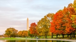 Quiz - George Washington – First President