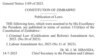 Mutemo weCriminal Law (Codification and Reform) Amendment Act unorambidza vana veZimbabwe kutaura zvakashata pamusoro penyika yavo nevekunze.