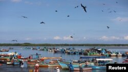 Los pescadores llevan los peces capturados al mercado de Tumbes, en Perú, el 31 de marzo de 2023.