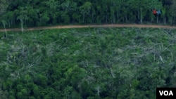 Deforestación en la Amazonía. Luego del proceso de tala llega la quema del terreno.