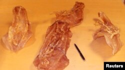 Las vejigas natatorias del pez totoaba macdonaldi se muestran en la oficina del fiscal federal en San Diego, California, el 24 de abril de 2013.