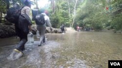 Un grupo de migrantes atraviesan un río en el Tapón del Darién. [Foto: Federico Buelvas, VOA]