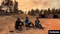 Los incendios que se registraron en Chile desde el 4 de febrero han despertado la solidaridad de muchos venezolanos.
