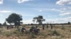 Camponeses agricultura angola 