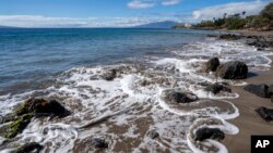 Lahaina je pre požara bila veoma popularno turističko odredište.
