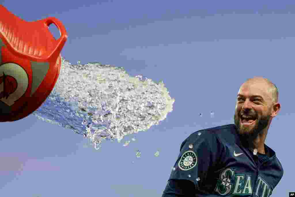Seattle Mariners' Mitch Haniger tries to avoid a dousing during the celebration of the team's 2-1 win over the Chicago White Sox in 10 innings in a baseball game, June 12, 2024, in Seattle. Haniger drove in the winning run.