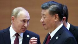 普京本週將訪華會習近平 加深中俄“無上限”夥伴關係