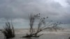 Alberto, primera tormenta tropical con nombre de la temporada, azota Texas y México, que reporta 3 muertos
