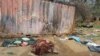 Conflict in Sudan Growing in Scope, Brutality as World Remains Silent 