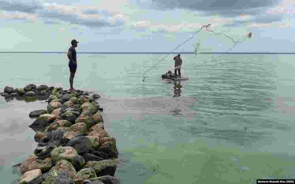 Pescadores de comunidades ubicadas en el norte de Maracaibo, colindantes con el Lago, ejercen su oficio a pesar del "verdín" y la contaminación. 