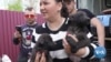 Volunteers Help Evacuate Pets From Ukraine’s Donbas Region 