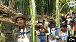 Los palmeros de Chacao descienden del cerro El Ávila cada víspera de Domingo de Ramos con las palmas que son distribuidas entre feligreses. 