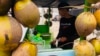 Andry Araque, vendedor de cocos, repasa sus ganancias en bolívares y dólares la mañana de este miércoles, en Maracaibo, Venezuela.