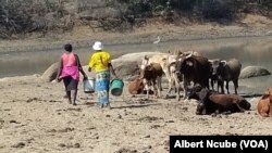 Zulu eliqale ukuna ngelanga leKhisimusi seliphe izakhamizi ithemba.