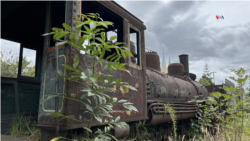 El tren, el medio de transporte olvidado en Colombia. [Foto: Sergio Leon/ Pixammo]