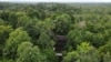 Kandang orangutan terlihat di Pusat Suaka Orangutan Arsari yang terletak di dekat ibu kota baru Indonesia (IKN) di Sepaku, Kalimantan Timur, 7 Maret 2023. (REUTERS/Willy Kurniawan)