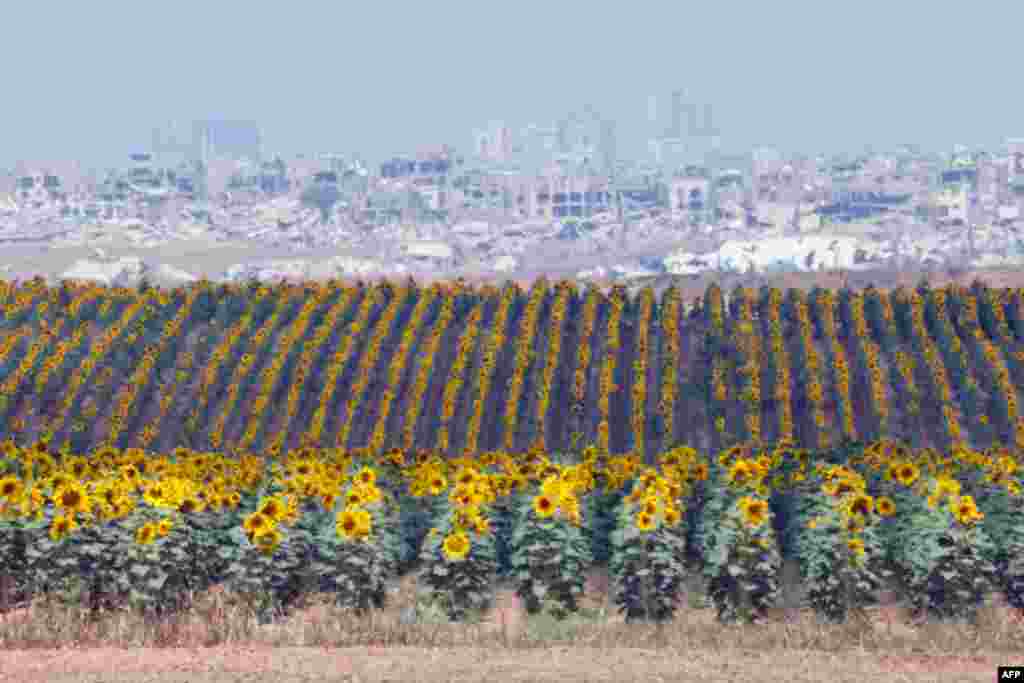 This picture taken from Israel's southern border with the Gaza Strip shows destruction in the Palestinian territory amid the ongoing conflict between Israel and the Palestinian militant group Hamas.