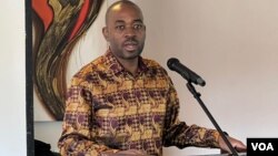 Nelson Chamisa