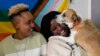 As countries tighten anti-gay laws, more LGBTQ+ seek safety and asylum in Europe