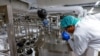 US OKs Chicken Made From Cultivated Cells, Nation's First 'Lab-Grown' Meat 