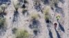 Rastreadoras de Carboca, madres que escudriñan el desierto de Sonora en busca de sus hijos