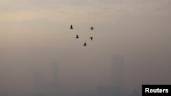 Burung-burung terbang pada pagi hari di Jakarta yang diselimuti asap polusi, 27 Mei 2022. (Foto: Willy Kurniawan/Reuters)