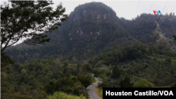Nicaragua lleva un "acelerado" deterioro en las pérdidas de sus bosques, según expertos.