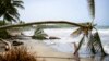 Hurricane Beryl destroys homes, uproots trees in Grenada