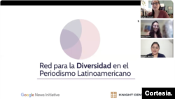 Captura de pantalla de uno de los seminarios de la Red para la Diversidad del Periodismo Latinoamericano.