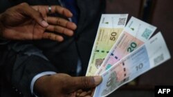 ZIMBABWE-CURRENCY-GOVERNMENT