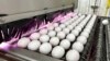 Bird Flu, Weather, Inflation Keep Egg Prices Near Historic Highs 