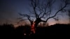 New Wildfire Ravages Northeastern Greece 