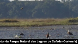 Parque Natural das Lagoas de Cufada, Guiné-Bissau
