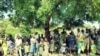 በረሃብ የሞቱ አሉ ወይስ የሉም? ቃኝዎችና መንግሥት