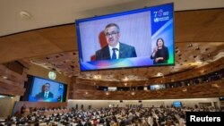 世界卫生组织总干事谭德塞（Tedros Adhanom Ghebreyesus）在日内瓦举行的每年一度的世界卫生大会上讲话。（2023年5月21日）