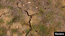 Polje trave je popucalo zbog suše tokom izuzetno visokih letnjih temperatura u Rondi, Španija, 27. april, 2023. (Foto: Reuters/Jon Nazca)